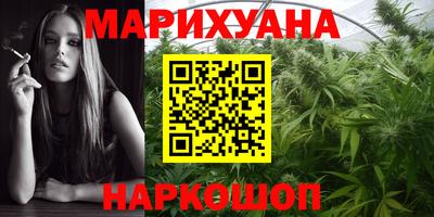 сатива Комсомольск-на-Амуре